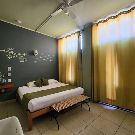Hotel Plaza Queretaro Ngoại thất bức ảnh