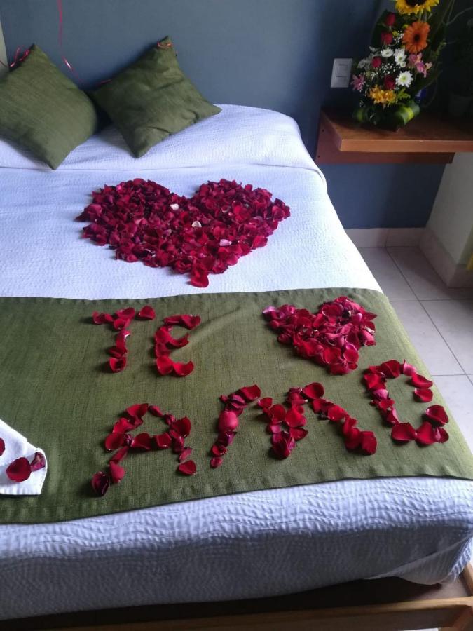 Hotel Plaza Queretaro Ngoại thất bức ảnh